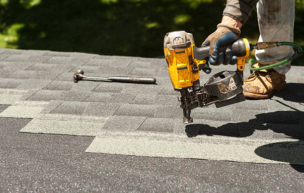Best Roof Gutter Cleaning  in Elbow Lake, MN