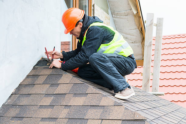 Roof Gutter Cleaning in Elbow Lake, MN